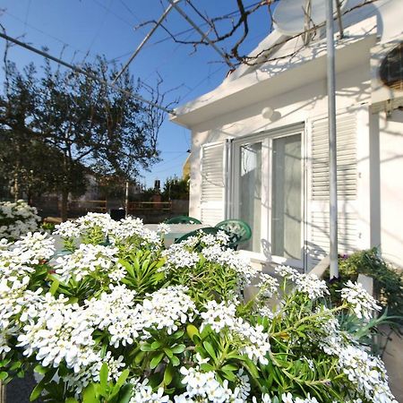 Apartman Antonio Zadar Buitenkant foto